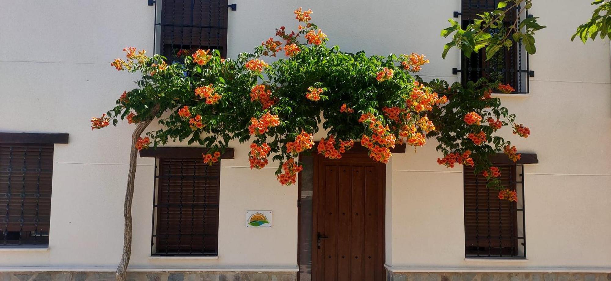 El Molino De Alatoz Vila Exterior foto
